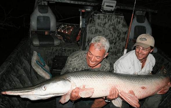 Alligator Gar River Monsters Trinity River Dallas