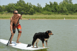 Paddleboard-Racing-with-your-Dog