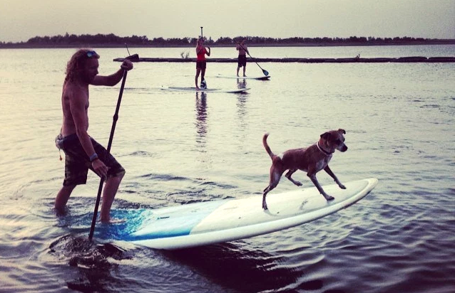 SUP with your PUP at DFW Surf