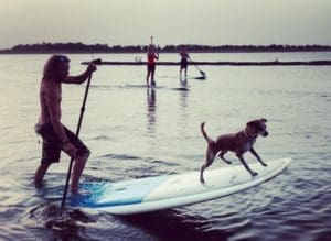 Paddleboarding with your Dog- How To