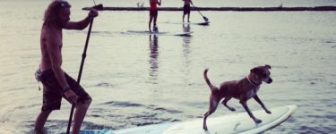 Paddleboarding with your Dog- How To